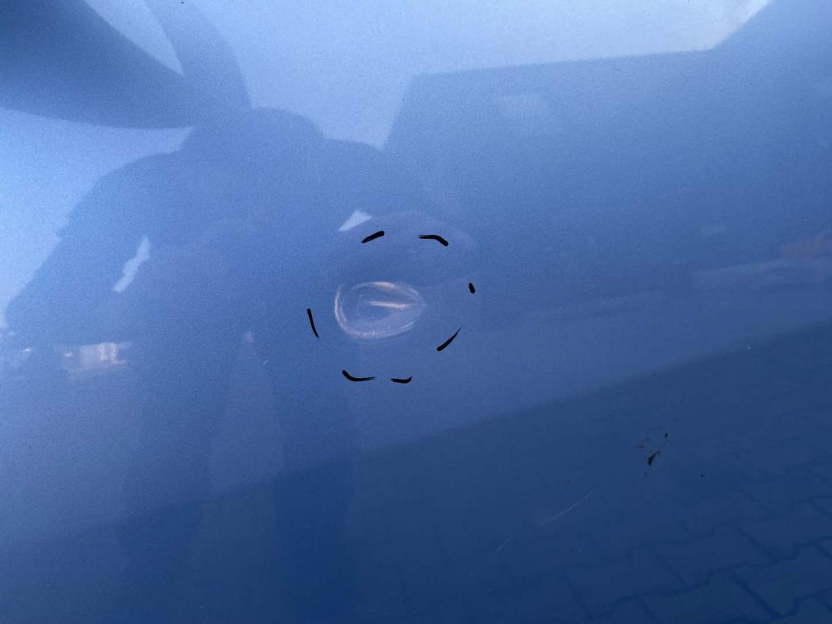 Renault Grand Scenic 3 original T&uuml;r vorn links Terpa Hellblaumetallic Rohbau Bj.2011